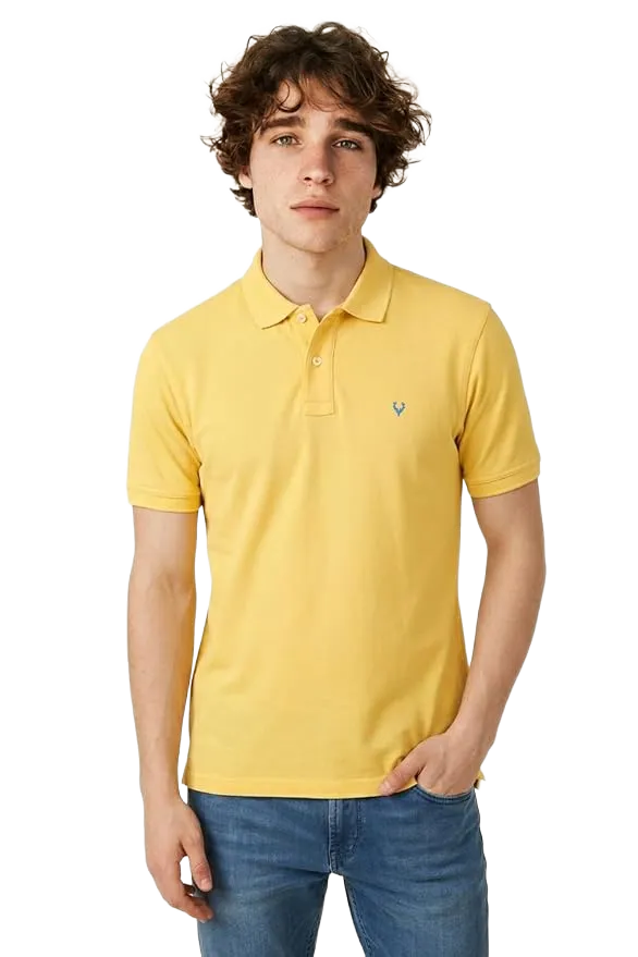 Allen Solly Polo T-Shirt