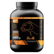 BeastLife Anabolic Mass Gainer 2.5 kg