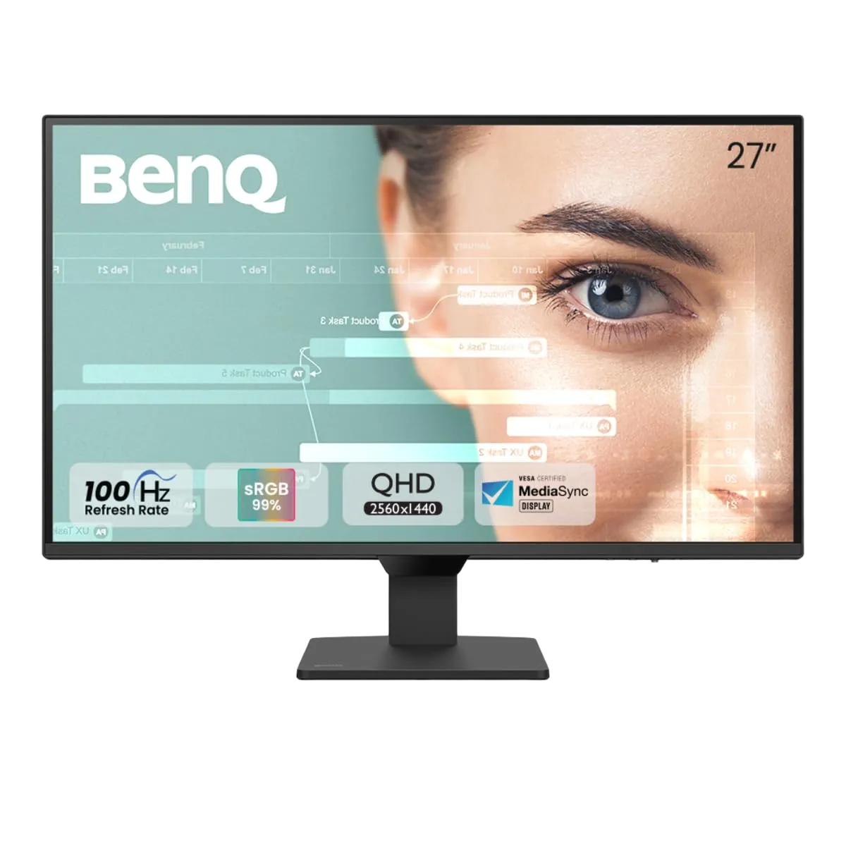 BenQ Wall Mountable Monitor (27 Inch)