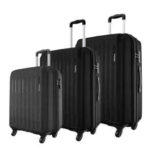 Safari Genius Alley Set of 3