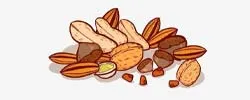 Dry Fruits and Nuts Coupons