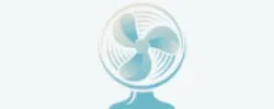 Fans Coupon Codes
