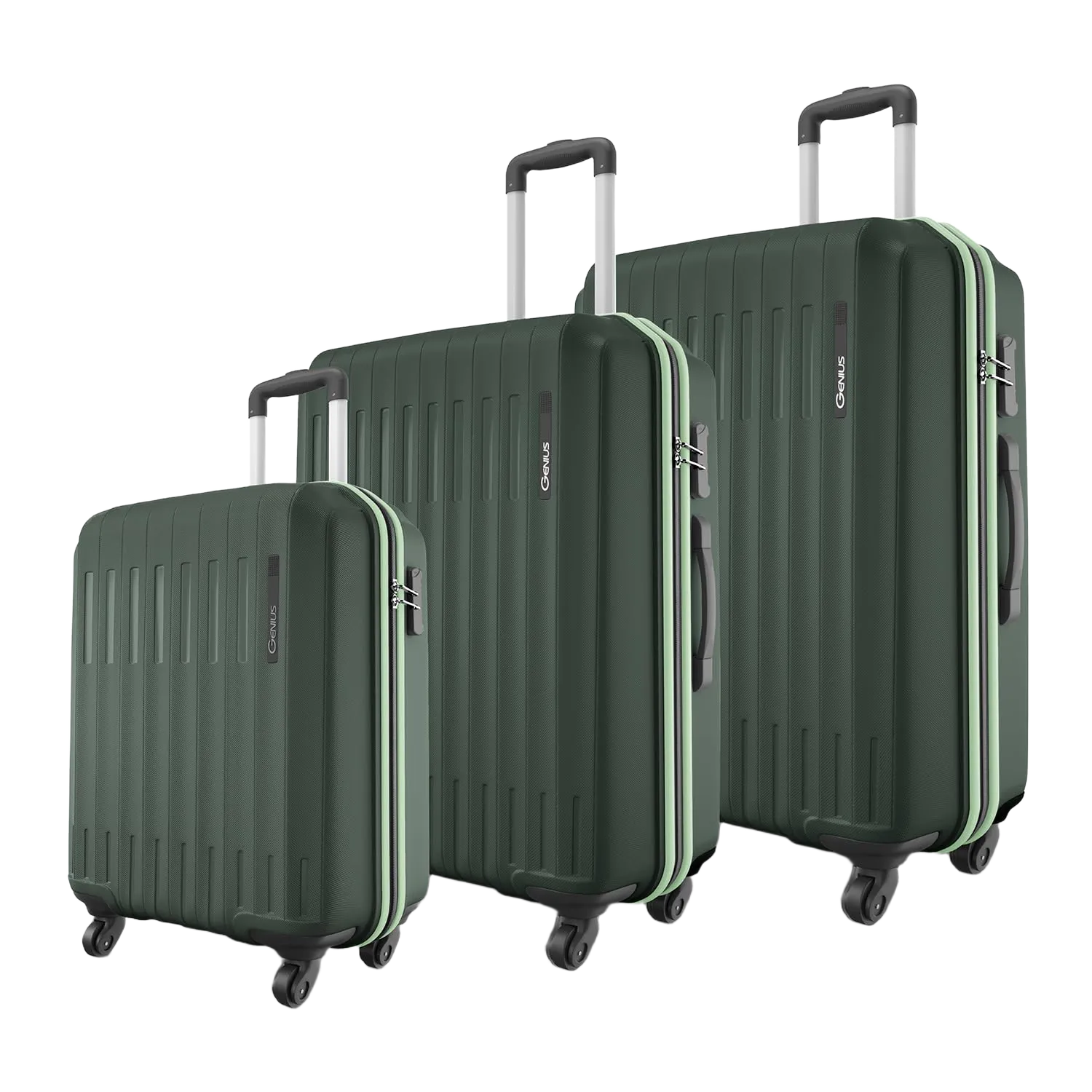 Safari Genius Alley Set of 3