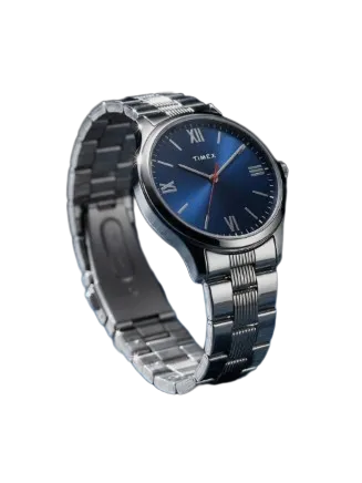 Timex Men's Analog Watch
