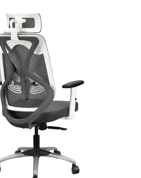 IAFA Ergonomic Office Chair