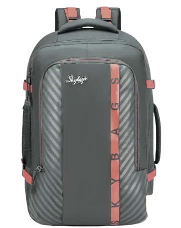 Skybags Backpack