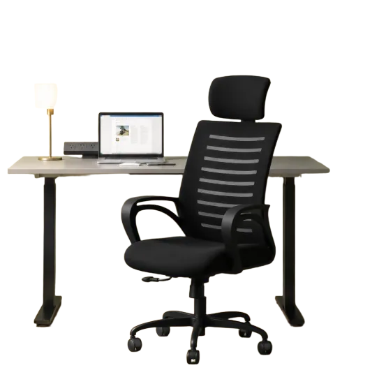 CELLBELL Ergonomic Office Chair