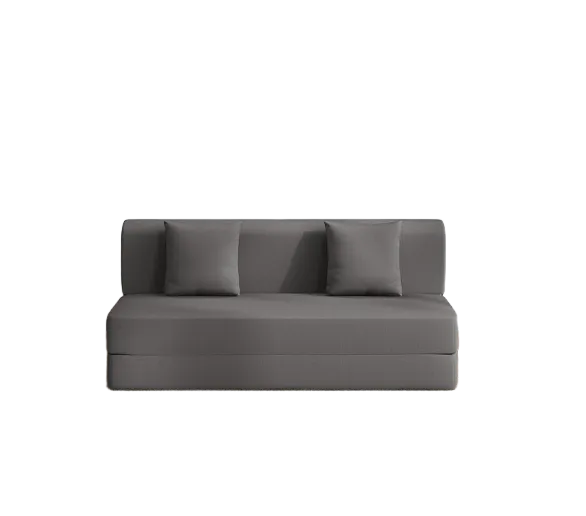 Wakefit Sofa Cum Bed