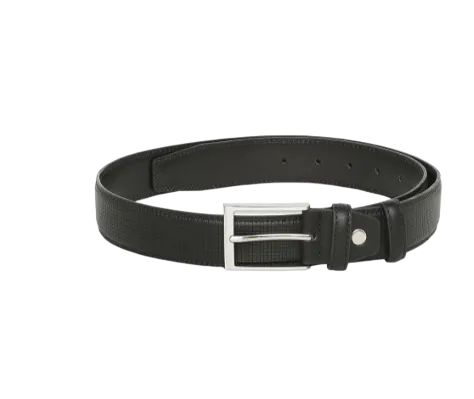 ALDO Men PU Belt