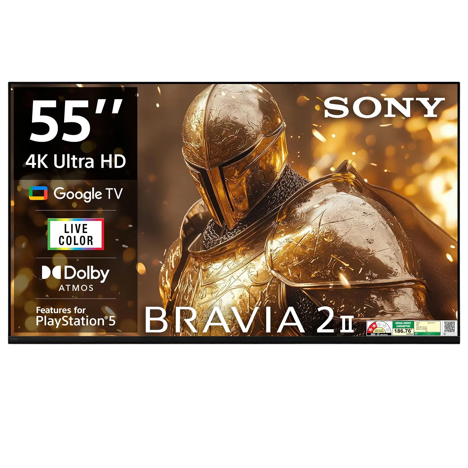 Sony Bravia 2M2 TV (55 inch)