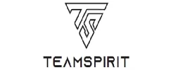 Teamspirit Coupons