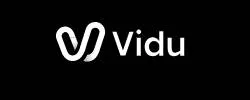 Vidu Coupons